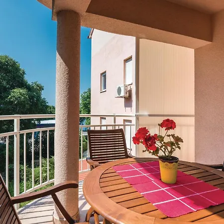 Cozy In With Kitchen Appartement *